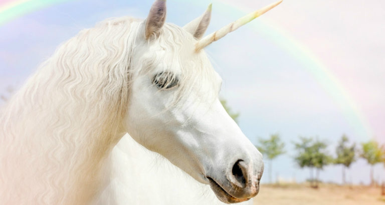 real life unicorn pictures