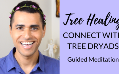 Tree Therapy | Meditation to Connect with the Dryads – Elemental Healing™