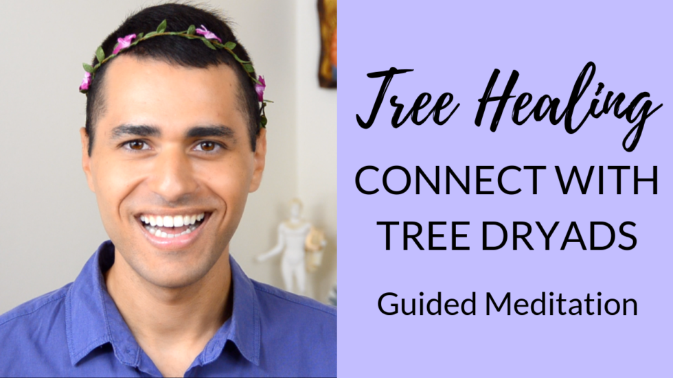 Tree Therapy Meditation to Connect with the Dryads Elemental