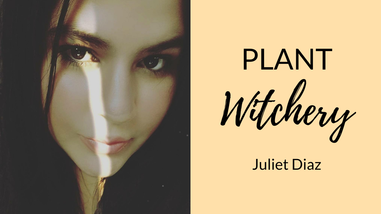 magickal-plants-and-herbs-with-plant-whisperer-juliet-diaz