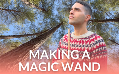 Making a Magic Wand 🪄 | Bushcraft Course Part I