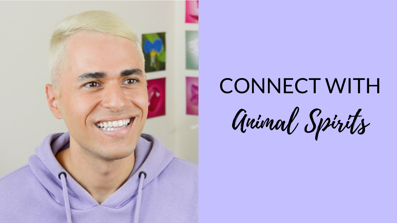 connect with animal spirits