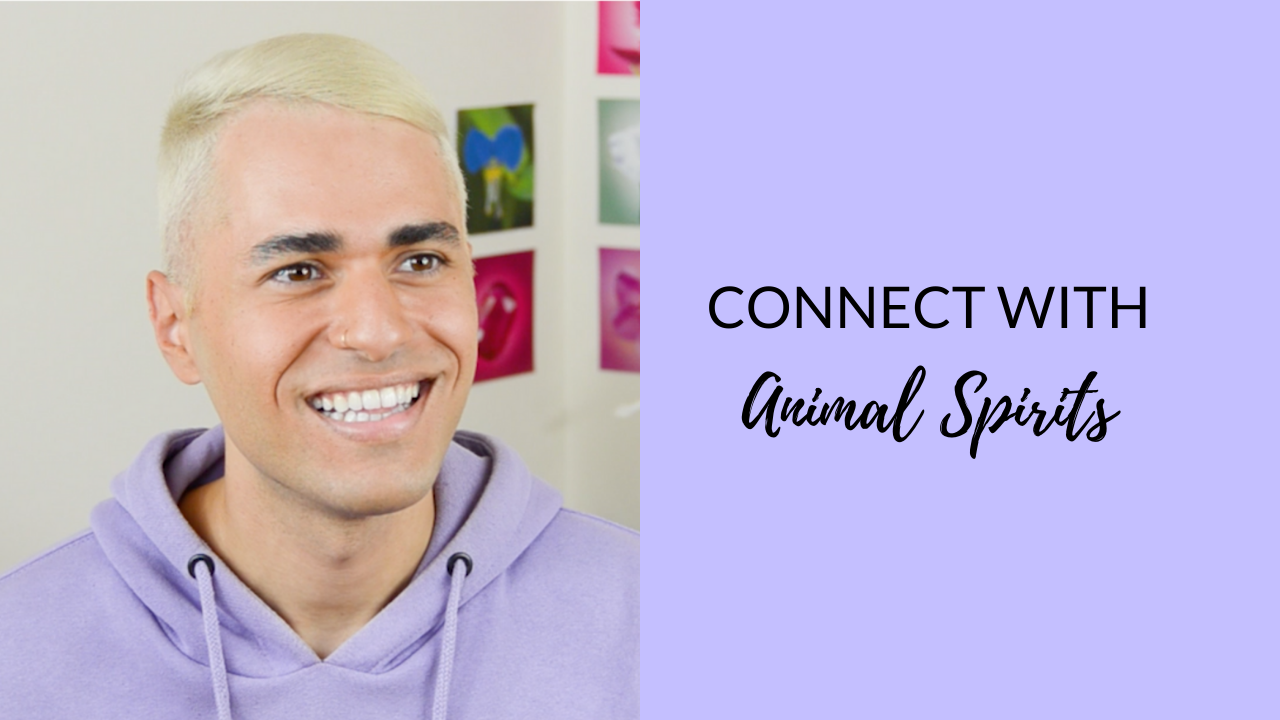 Spirit Animal Meanings Find Your Animal Spirit Guide George Lizos   Connect With Animal Spirits1 