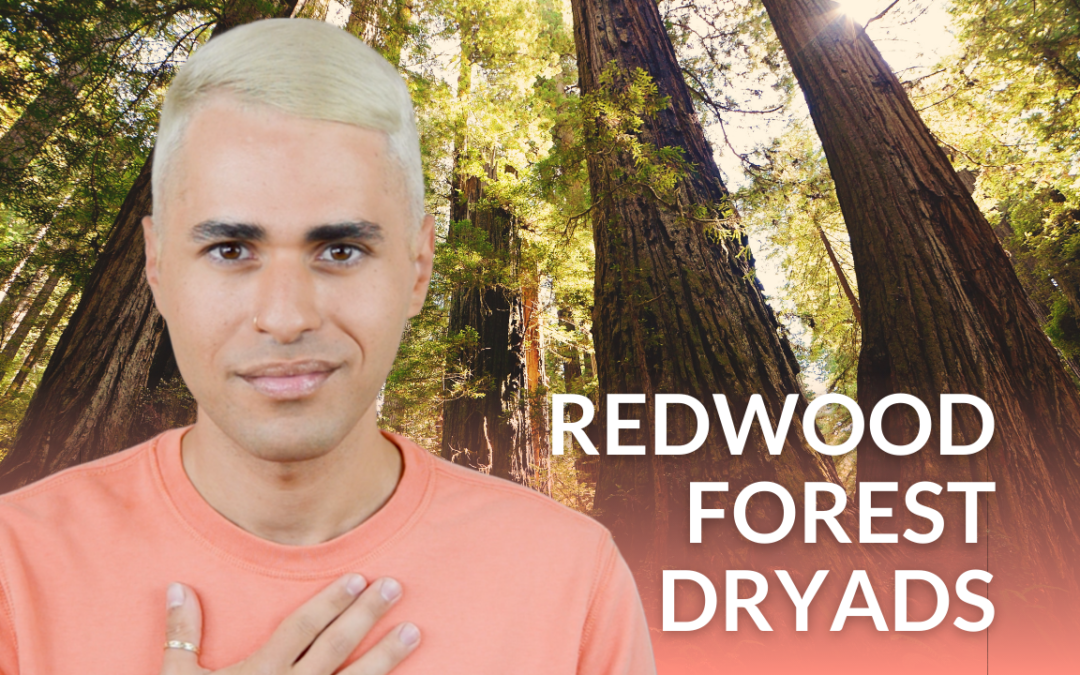 🌲 Tree Fairies and Dryads of a Redwood Forest – Cantabria, Spain Part II