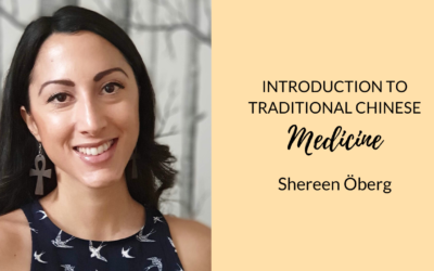 Does Traditional Chinese Medicine (TCM) Work? 🌿 | Shereen Öberg