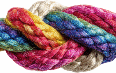 The Ultimate BDSM Bottoming Guide with Janet W Hardy