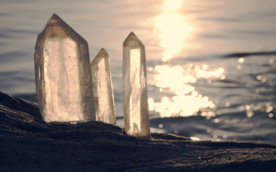 Animal Spirit Guides for Healing and Clarity with Shannon Kaiser