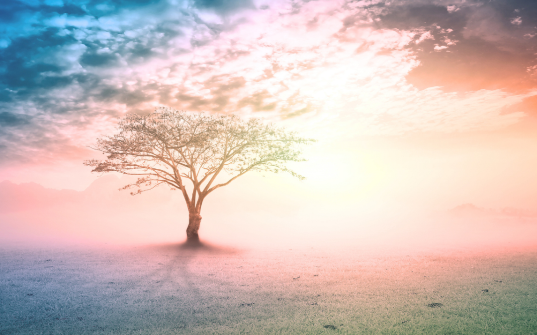 Why the Same Things Keep Happening to You