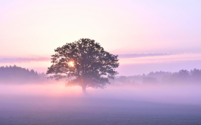 Ancestral Healing and Indigenous Wisdom with Asha Frost