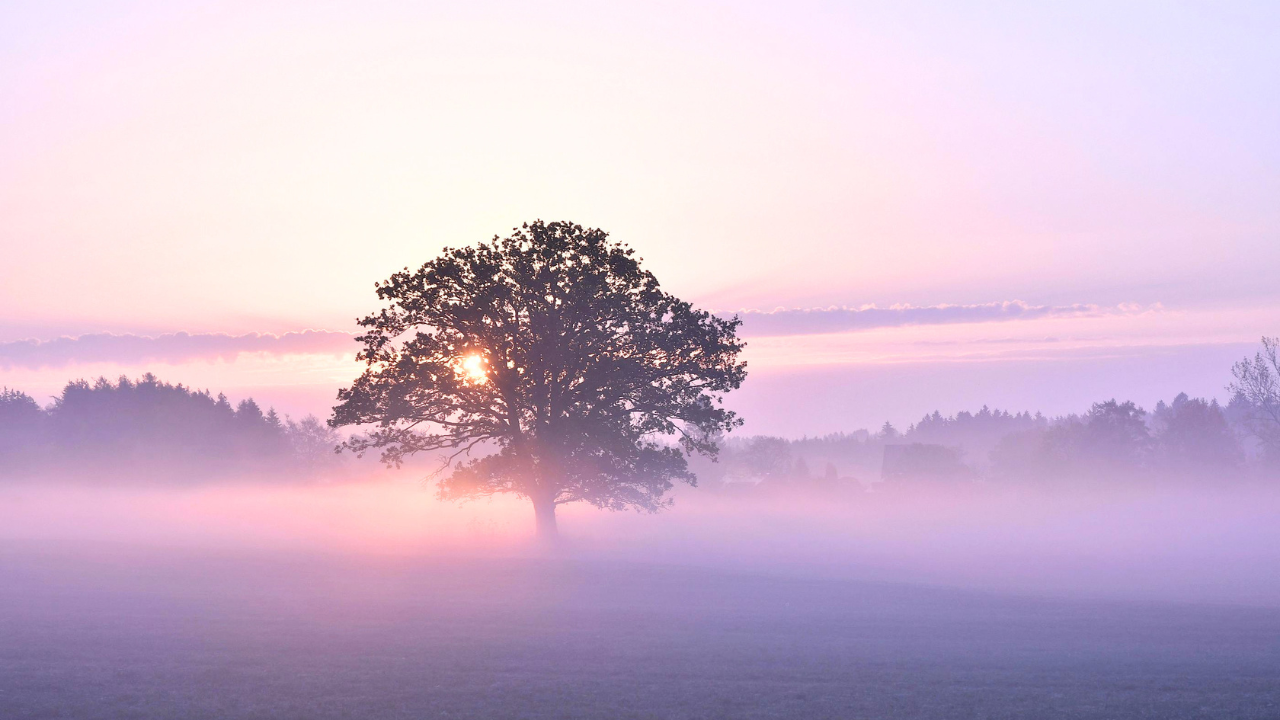How to heal generational trauma and access ancestral wisdom with integrity and respect.
